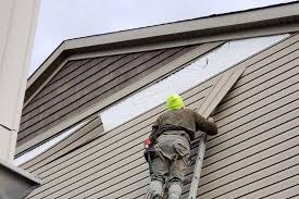 Best Siding Painting and Refinishing  in South Riding, VA